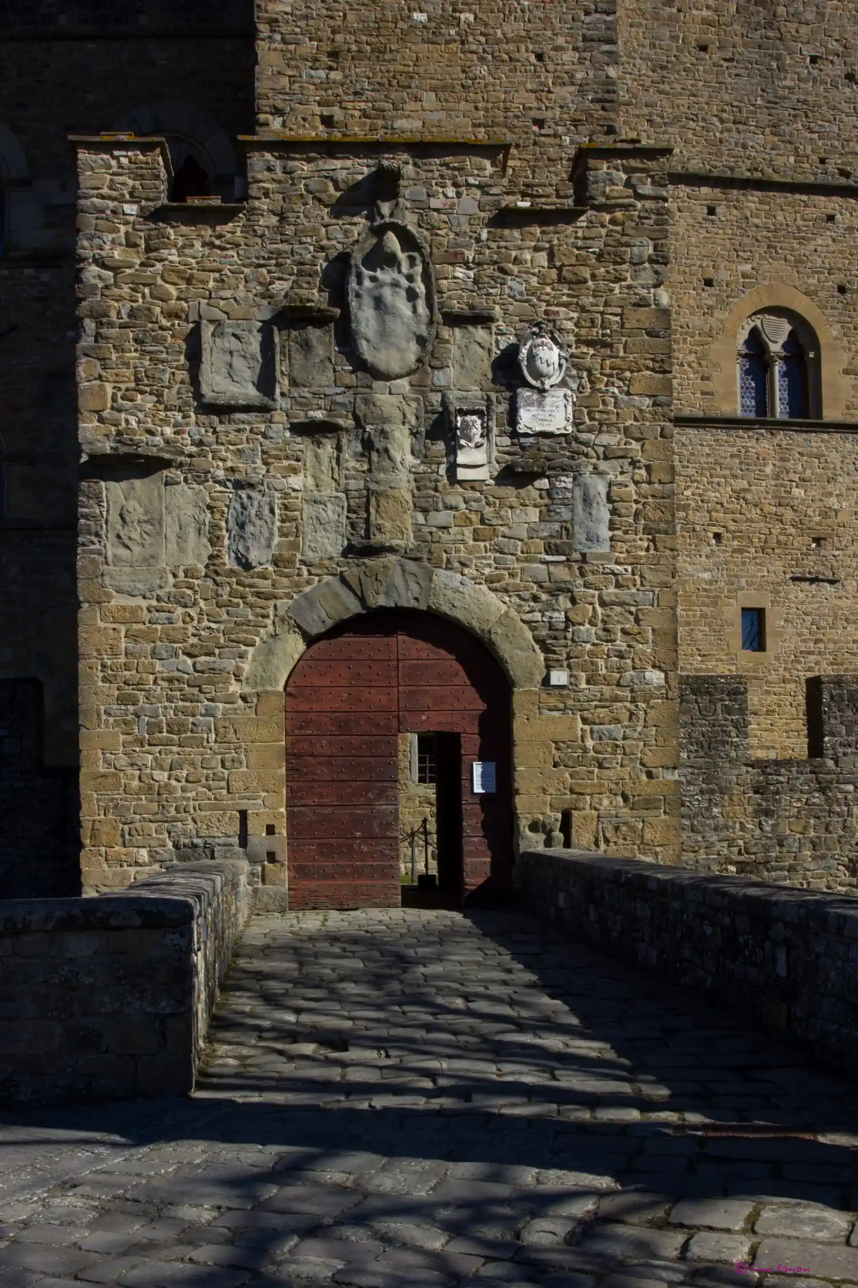 PBR_29102-scaled_226_11zon